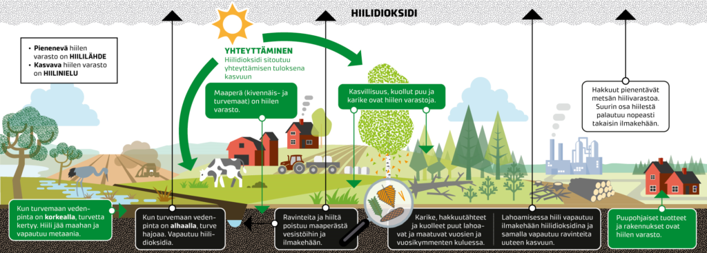 Hiilenkierto